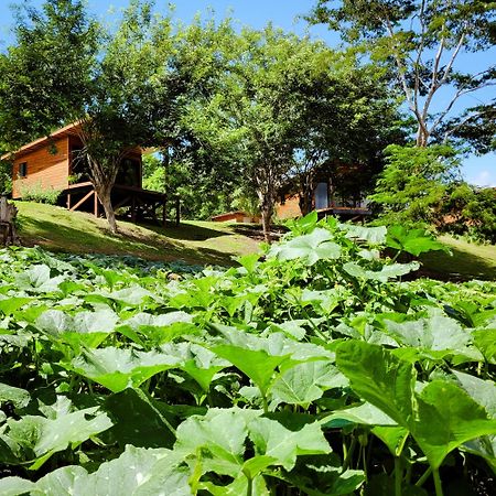 Yumas Riverfront Lodge San Ignacio Exterior photo