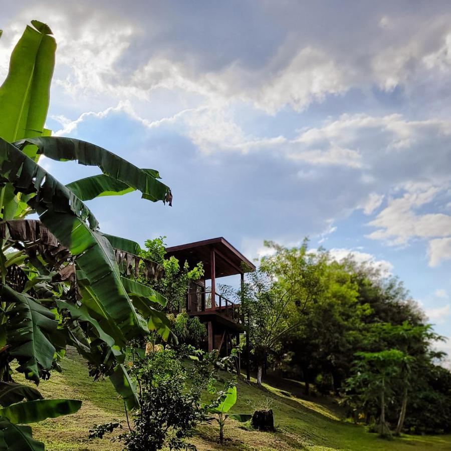 Yumas Riverfront Lodge San Ignacio Exterior photo